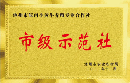 4e63760aa2c240ccb59d67b38e4917bb.png